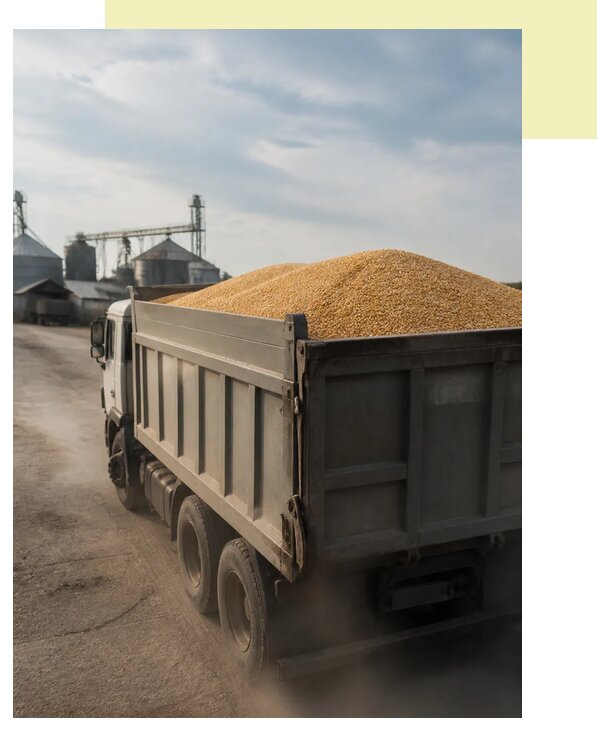 Перевозка сельхозпродукции навалом в Таганрог по цене от 3054 р. | Агросервис-Тгн